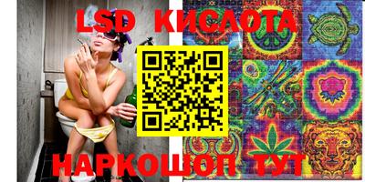 ПСИЛОЦИБИНОВЫЕ ГРИБЫ Бийск