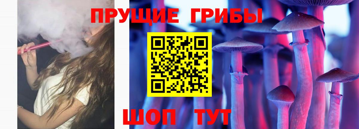 Каменка  Галлюциногенные грибы Magic Shrooms  Вход с VPN  Псилоцибиновые грибы Magic Shrooms 